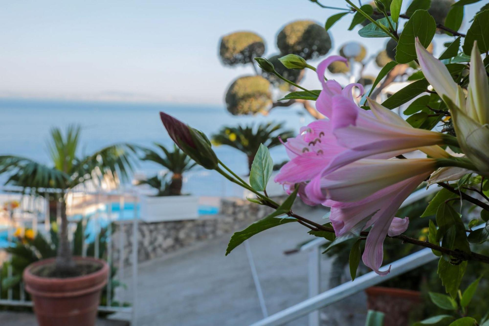 Hotel Villa Lubrense Sorrento Massa Lubrense Bagian luar foto
